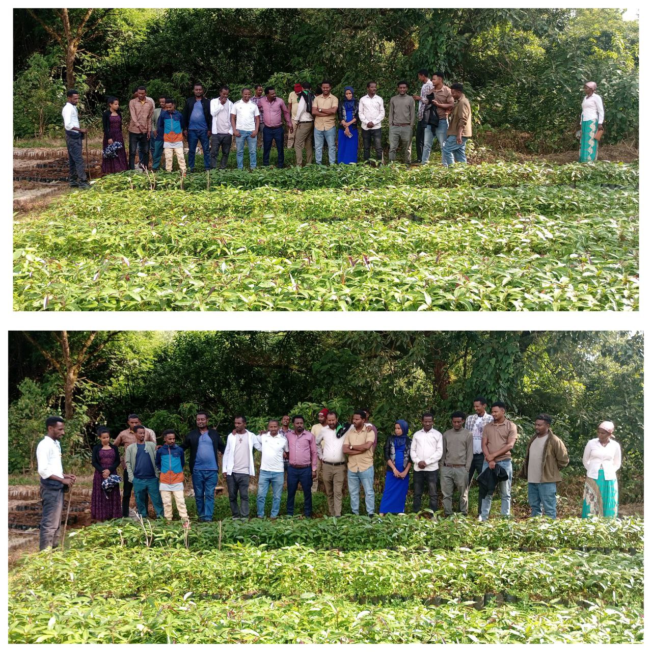 በዱርቤቴ ፖሊ ቴክኒክ ኮሌጅ የኮሌጁ ሰራተኞች በጉብኝት ላይ